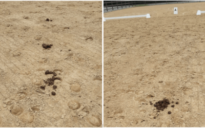 Wichtige Hinweise zur Nutzung des Gelände- und des Sandplatzes!